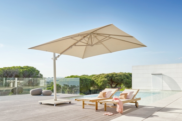 Parasol