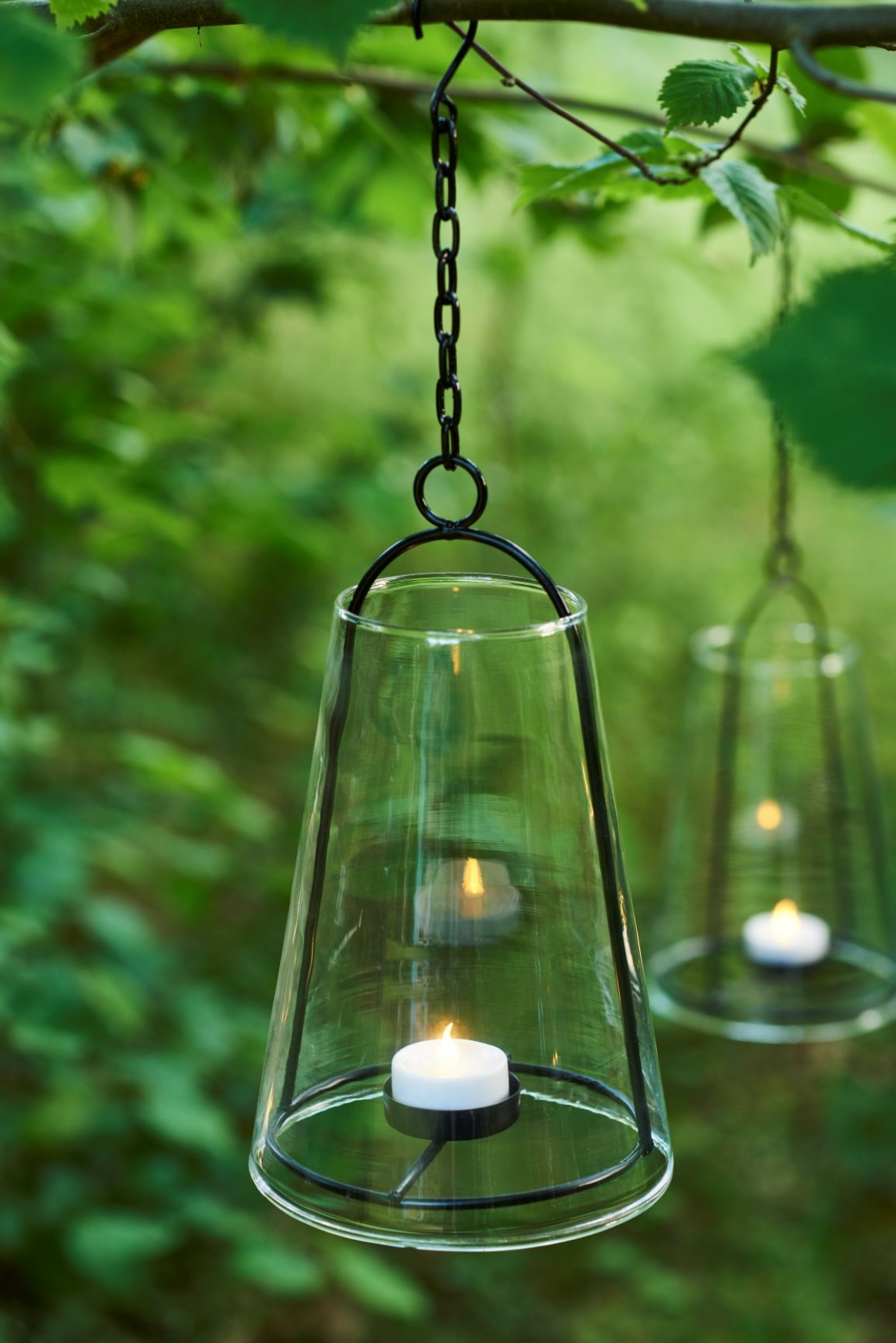tieners Vertolking Wees Albert hangende lantaarn | Producten | DrafabGreen