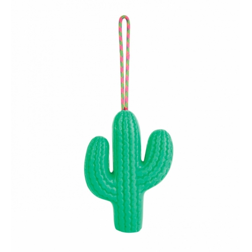 Cactus Soap on a Rope