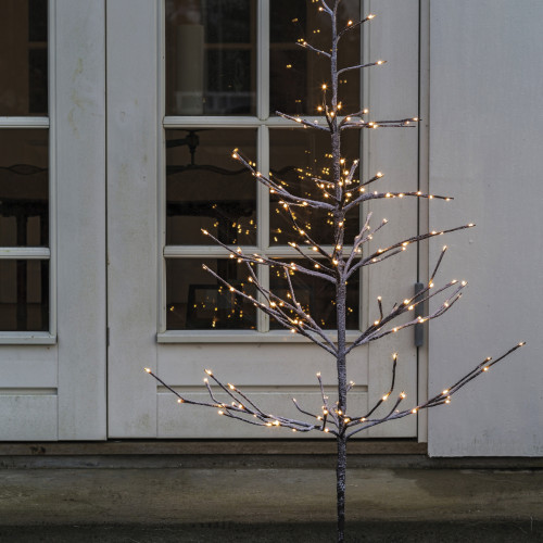 Alex lichtboom small