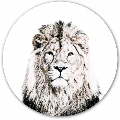 Sticker magnétique - Lion