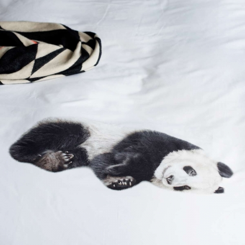 Lazy Panda dekbedovertrek