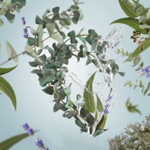 Recharge bouquet parfumé – Fraîcheur d'Eucalyptus