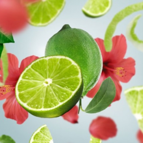 Recharge bouquet parfumé - Zeste vert de Tahiti