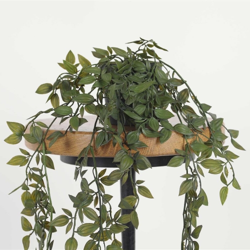 Hang sierplant in pot - immergreen tradescantia