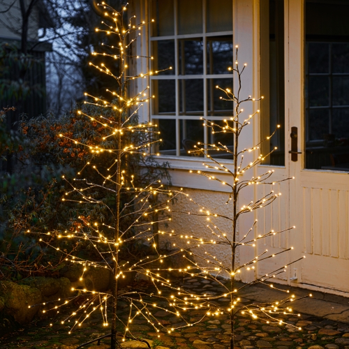 Arbre Isaac - h.2.1 m - Extérieur/intérieur