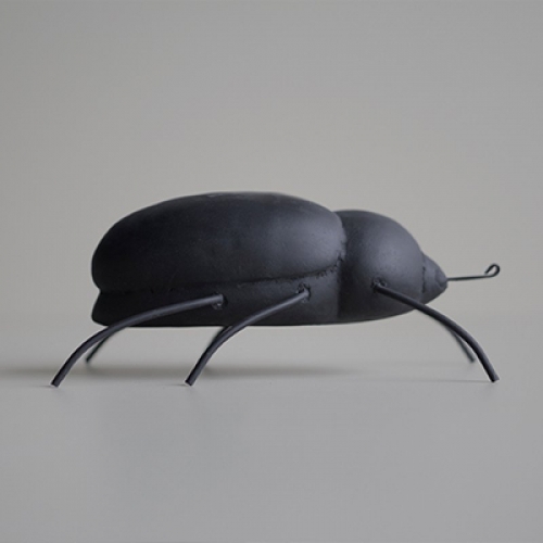 Decoration scarabée - noir