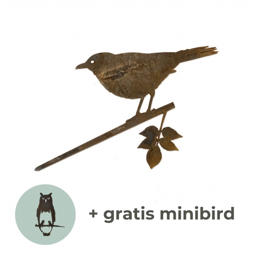 Merel (blackbird) cortenstaal