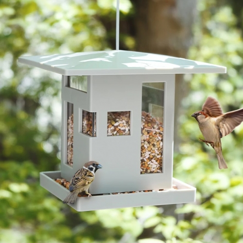 Mangeoire à oiseaux - Café des oiseaux