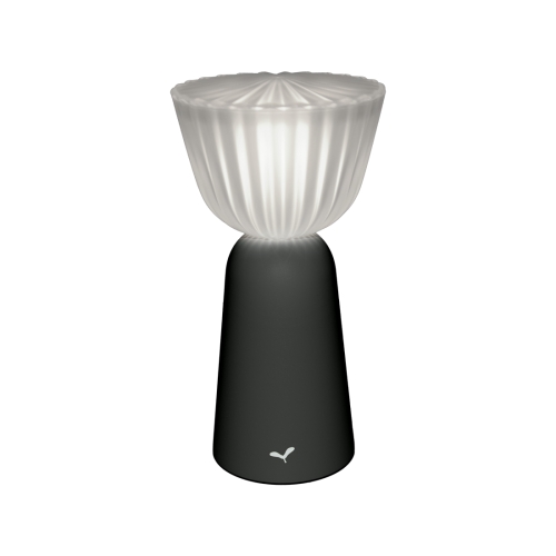 Swiing lamp - Carbone