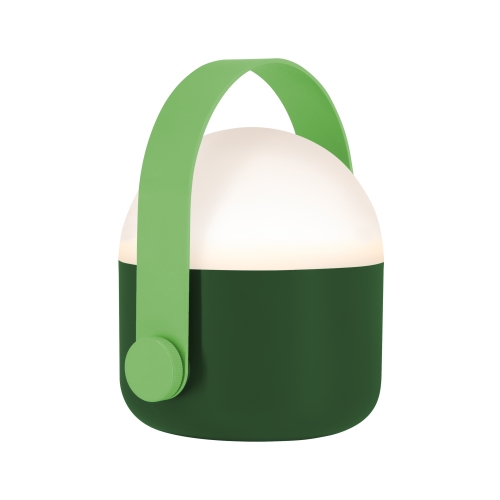 Ole lampje