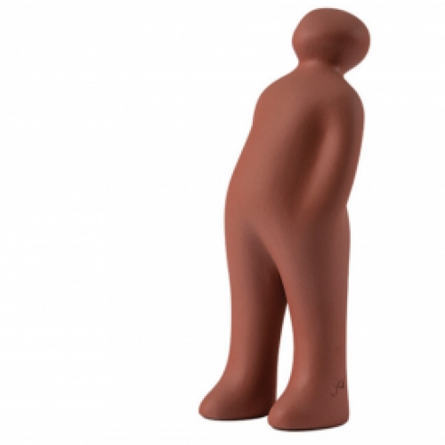 The visitor plus - cor 39 - Pau Brasil