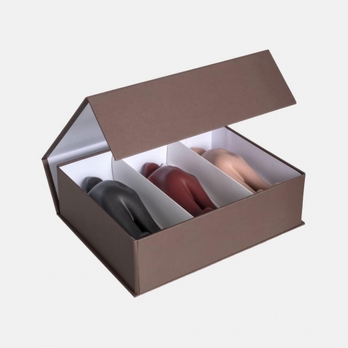 Giftbox The Visitor mini