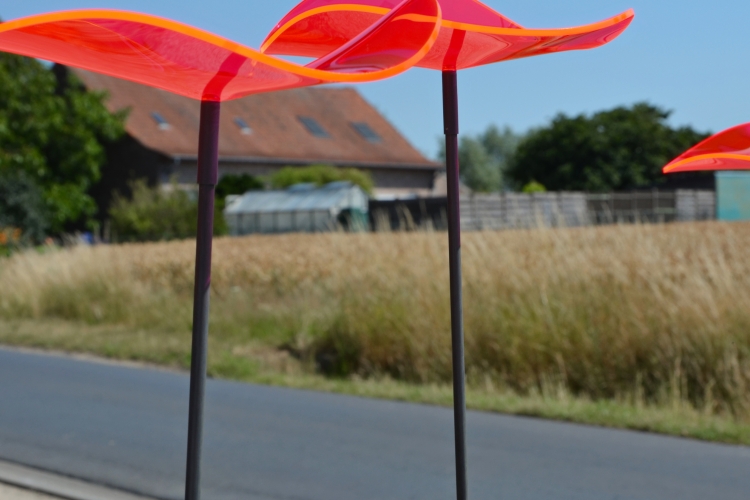 Project Resto Merlijn - Beselare 